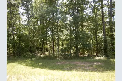2771 Carey Station Rd Street, Greensboro, GA 30043 - Photo 1
