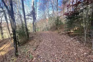 1 Barefoot Hills, Hiawassee, GA 30546 - Photo 1