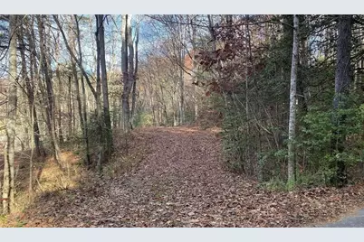 1 Barefoot Hills, Hiawassee, GA 30546 - Photo 5