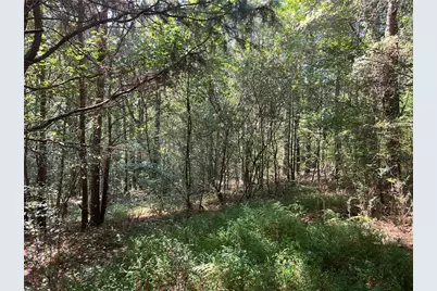 124 S Kelley Street, Tallapoosa, GA 30176 - Photo 1