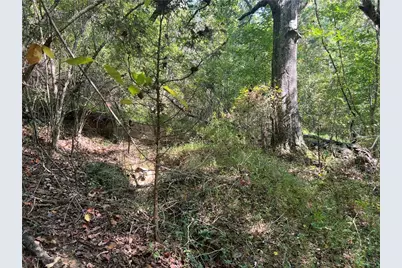 124 S Kelley Street, Tallapoosa, GA 30176 - Photo 7