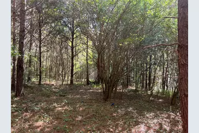 124 S Kelley Street, Tallapoosa, GA 30176 - Photo 3