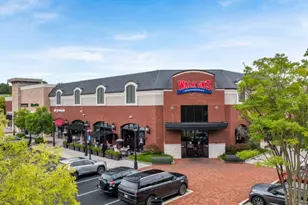 139 Cyrilla Walk, Dallas, GA 30132 - Photo 43