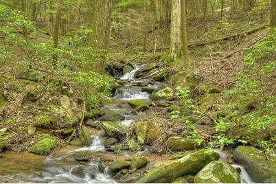 244 Wilderness Way, Ellijay, GA 30536 - Photo 59