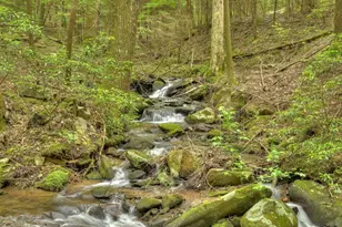 244 Wilderness Way, Ellijay, GA 30536 - Photo 59