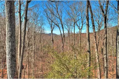 244 Wilderness Way, Ellijay, GA 30536 - Photo 61