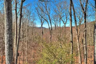 244 Wilderness Way, Ellijay, GA 30536 - Photo 61