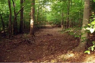 511 Fontaine Road SW, Mableton, GA 30126 - Photo 11