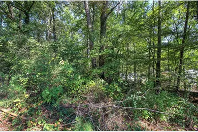 11 Meadowview Circle, Cartersville, GA 30121 - Photo 5