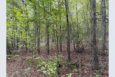 0 Colquitt Road, Cedartown, GA 30125 - Photo 5