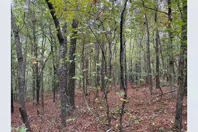 0 Colquitt Road, Cedartown, GA 30125 - Photo 7