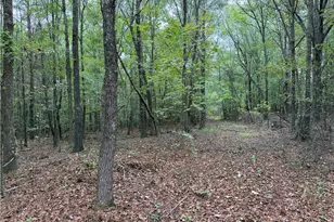 0 Colquitt Rd, Cedartown, GA 30125 - Photo 1