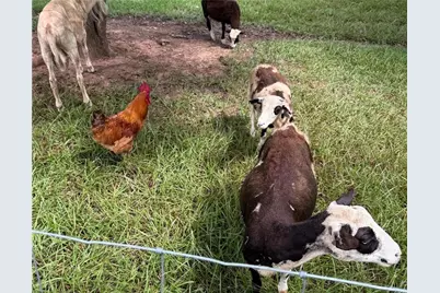 1599 Lower River Road, Covington, GA 30016 - Photo 23