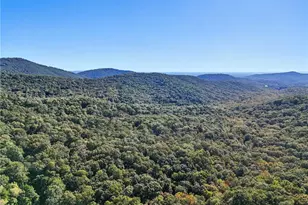 203 Wild Azalea Cir, Jasper, GA 30143 - Photo 37