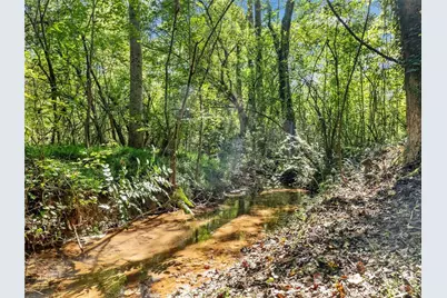 141 Willows Court, Cleveland, GA 30528 - Photo 63