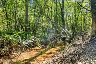 141 Willows Ct, Cleveland, GA 30528 - Photo 63