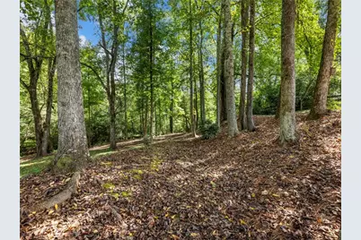 141 Willows Court, Cleveland, GA 30528 - Photo 61