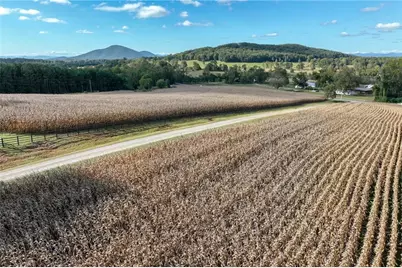 0 Holly Springs Road, Clermont, GA 30527 - Photo 9