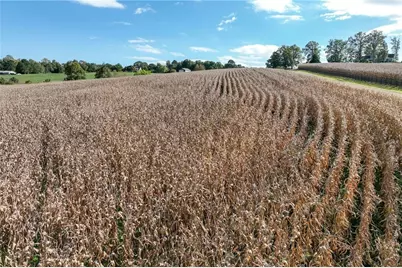 0 Holly Springs Road, Clermont, GA 30527 - Photo 11