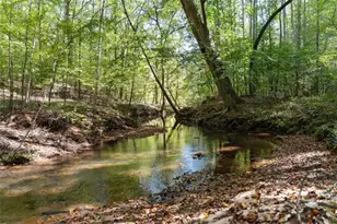 1171 King Mill Rd, McDonough, GA 30252 - Photo 41