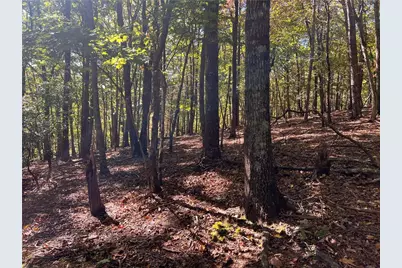 4428 Bee Tree Ridge Drive, Jasper, GA 30143 - Photo 13