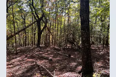 4428 Bee Tree Ridge Drive, Jasper, GA 30143 - Photo 11