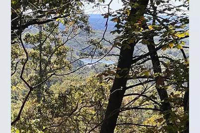 4428 Bee Tree Ridge Drive, Jasper, GA 30143 - Photo 9