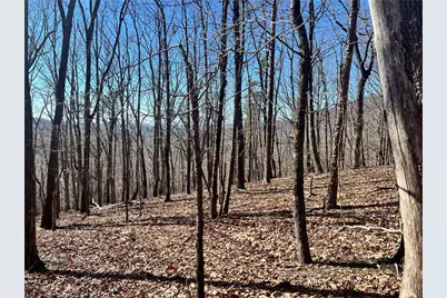 4428 Bee Tree Ridge Drive, Jasper, GA 30143 - Photo 3