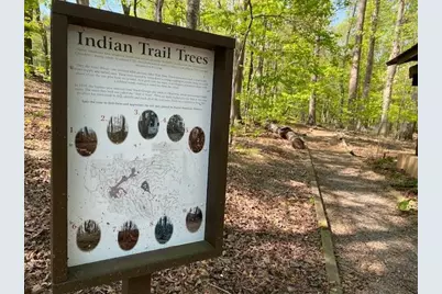 4428 Bee Tree Ridge Drive, Jasper, GA 30143 - Photo 31