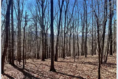 4428 Bee Tree Ridge Drive, Jasper, GA 30143 - Photo 1