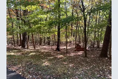 4428 Bee Tree Ridge Drive, Jasper, GA 30143 - Photo 7