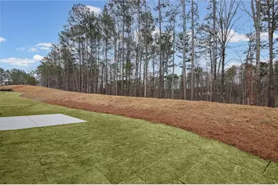 231 Sage Woods Way, Dallas, GA 30132 - Photo 41