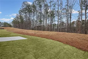 231 Sage Woods Way, Dallas, GA 30132 - Photo 41