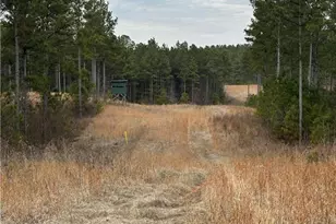 0 S Hwy 225 S, Chatsworth, GA 30705 - Photo 45