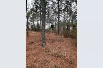 0 S Highway 225 S, Chatsworth, GA 30705 - Photo 41