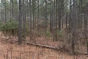 0 S Hwy 225 S, Chatsworth, GA 30705 - Photo 27