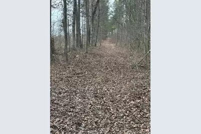 0 S Highway 225 S, Chatsworth, GA 30705 - Photo 39