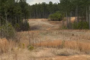 0 S Hwy 225 S, Chatsworth, GA 30705 - Photo 35