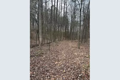 0 S Highway 225 S, Chatsworth, GA 30705 - Photo 43