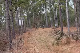 0 S Hwy 225 S, Chatsworth, GA 30705 - Photo 25