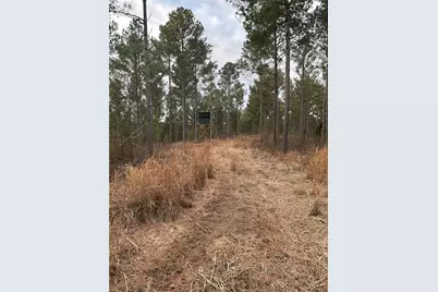 0 S Highway 225 S, Chatsworth, GA 30705 - Photo 29