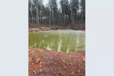 0 S Highway 225 S, Chatsworth, GA 30705 - Photo 47