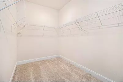 316 Conley Avenue, Hampton, GA 30228 - Photo 19