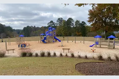 644 Gold Valley Pass, Canton, GA 30114 - Photo 39