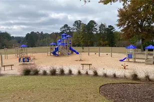 644 Gold Valley Pass, Canton, GA 30114 - Photo 39