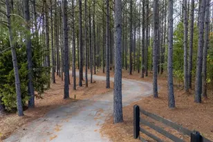 47 Woodford Reserve Pass, Dallas, GA 30132 - Photo 101