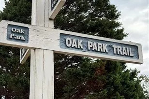 1581 Oak Park Cove, Decatur, GA 30033 - Photo 29