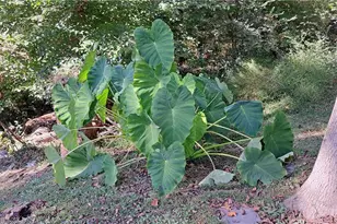 1176 Converse Dr NE, Atlanta, GA 30324 - Photo 29