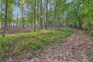 889 Free Home Rd, Canton, GA 30115 - Photo 61