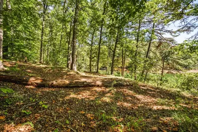 6595 Akins Way, Cumming, GA 30041 - Photo 13